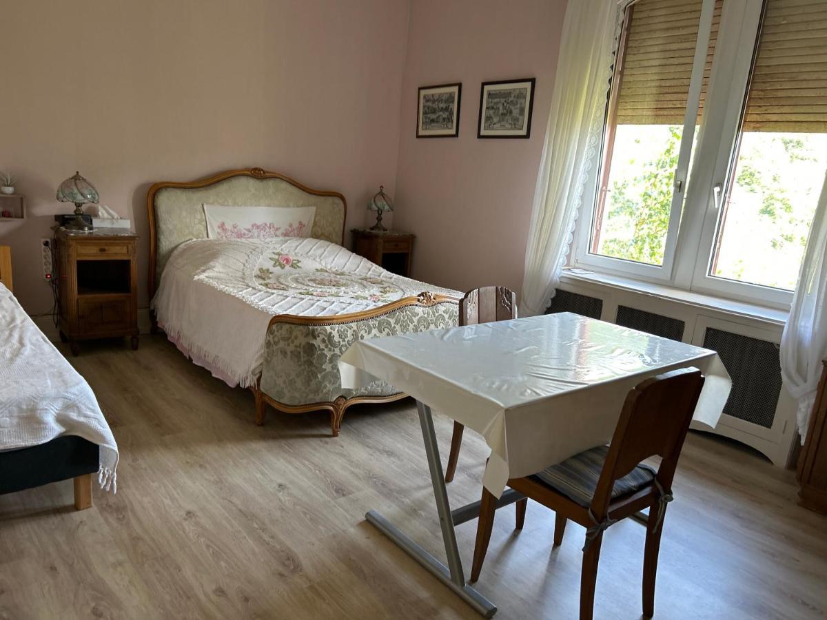 Ferienwohnung Chambre Gentiane 2 A 3 Personnes Wifi Sdb Partagee Saint-Amarin Exterior foto